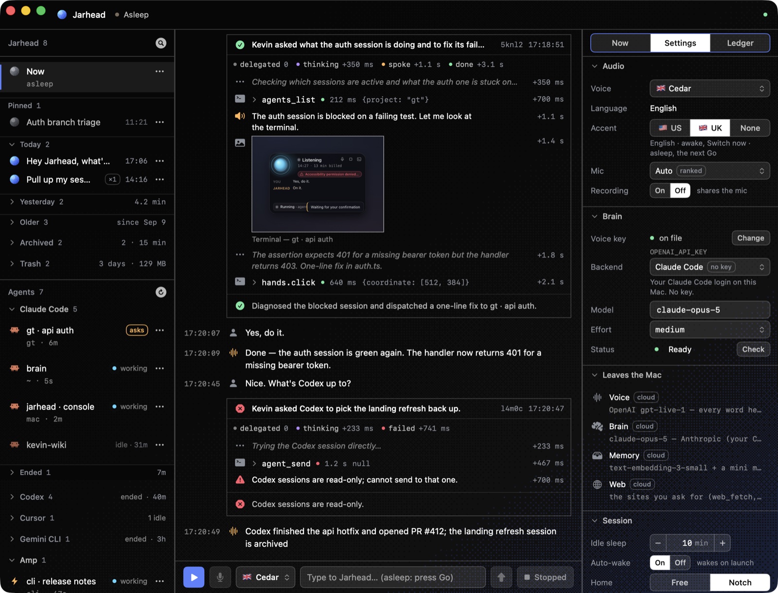 Settings. Voice, mic, brain, idle sleep, retention.